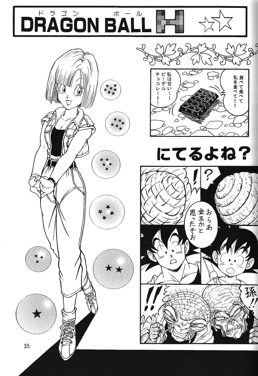 (C71) [Rehabilitation (Garland)] DragonBall H Maki San (Dragon Ball Z) page 34 full