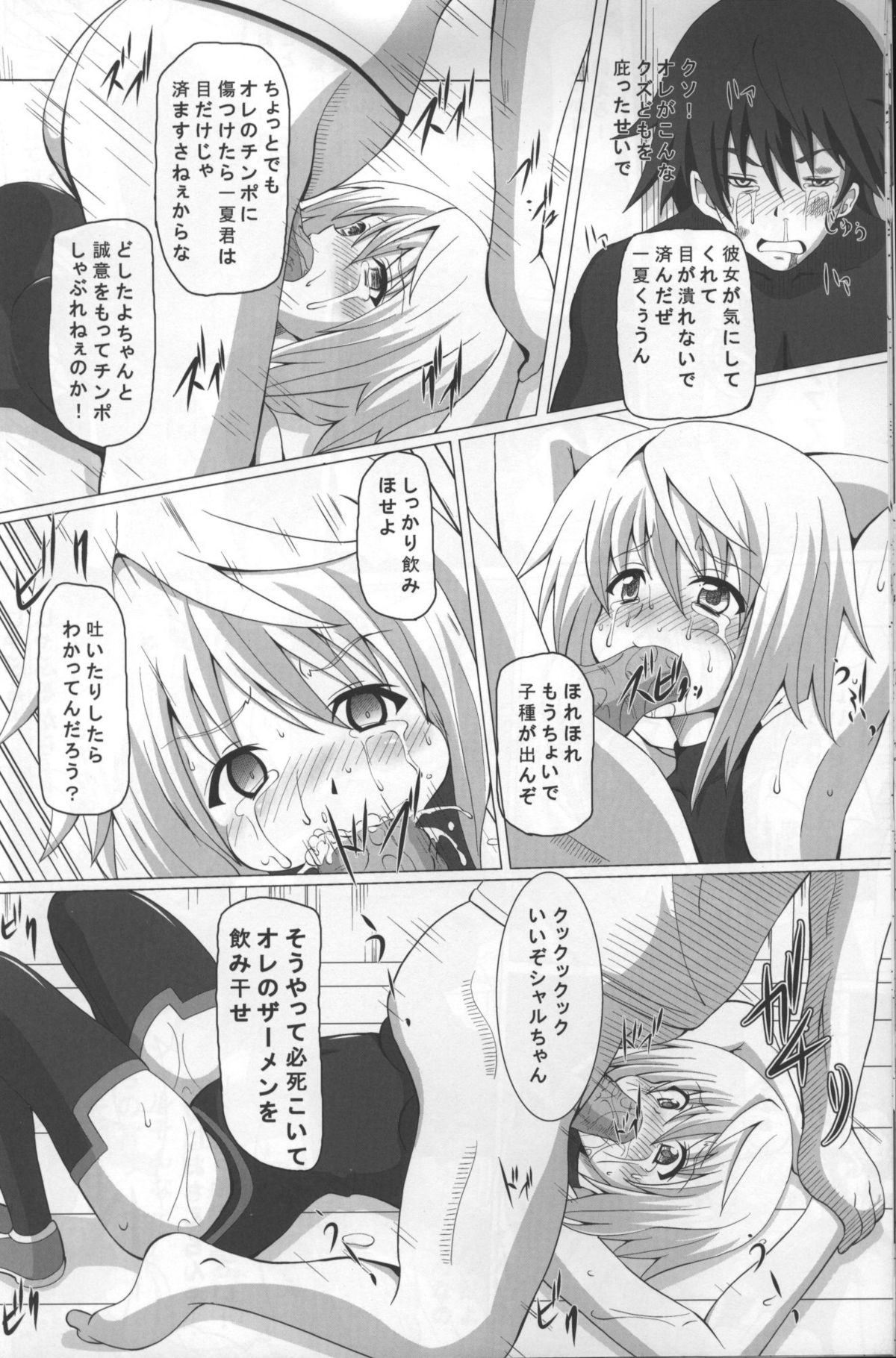 [Kuroi Mono (Akadama)] Fiend IS (Infinite Stratos) page 14 full