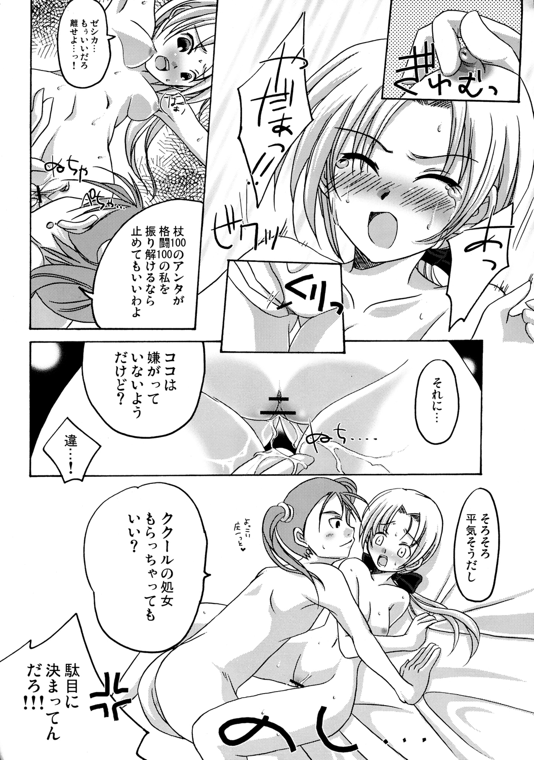 (C71) [tounantou (Mai)] Princess Fight! (Dragon Quest) page 21 full