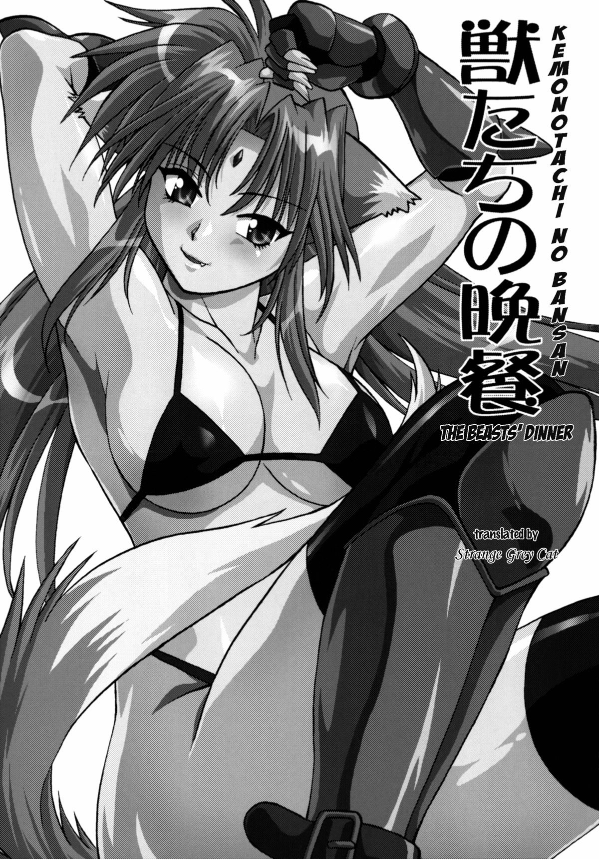 (SC34) [Studio Katsudon (Manabe Jouji)] Kemonotachi no Bansan (Mahou Shoujo Lyrical Nanoha) [English] page 3 full