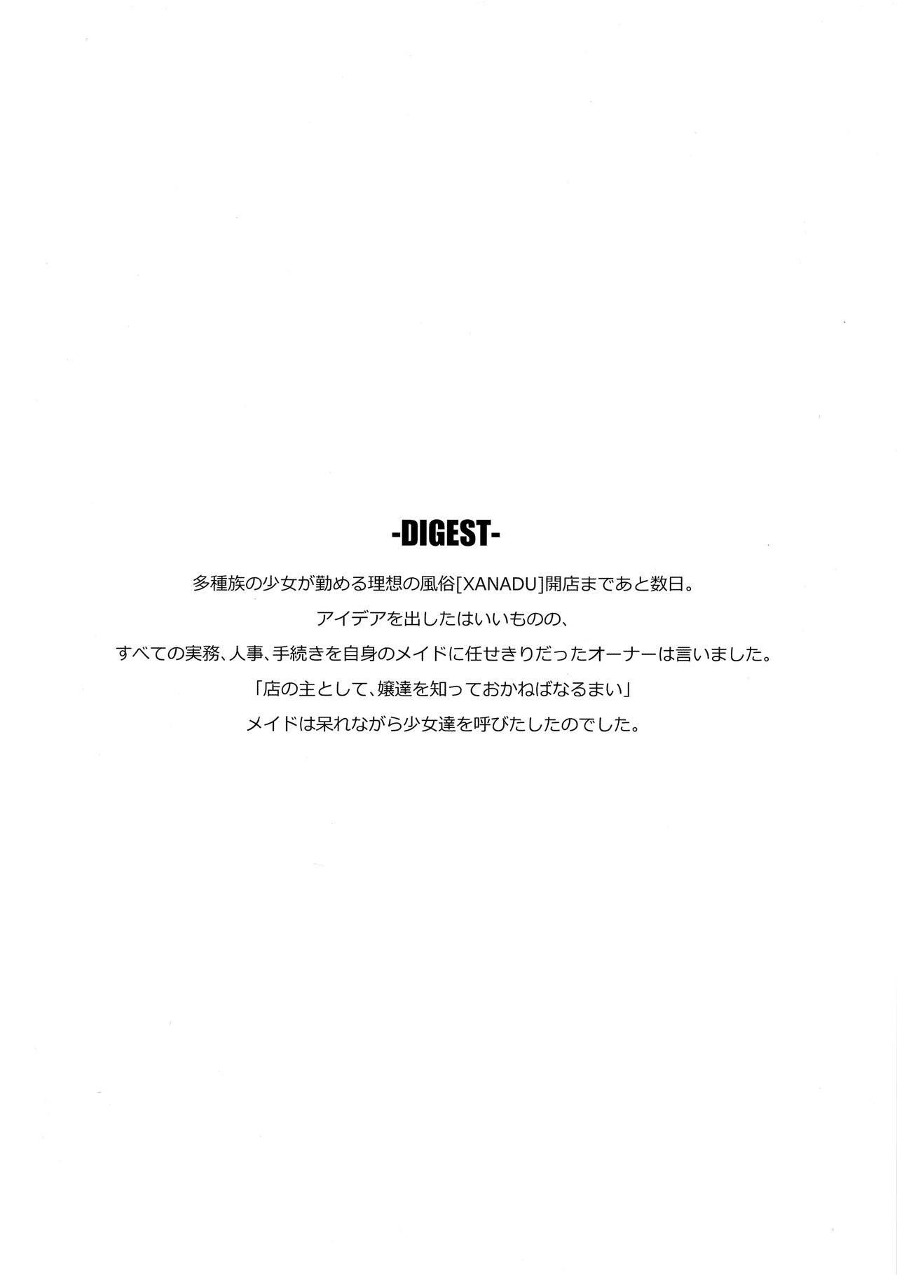 (COMITIA129) [Satellites (Satetsu)] XANADU page 3 full