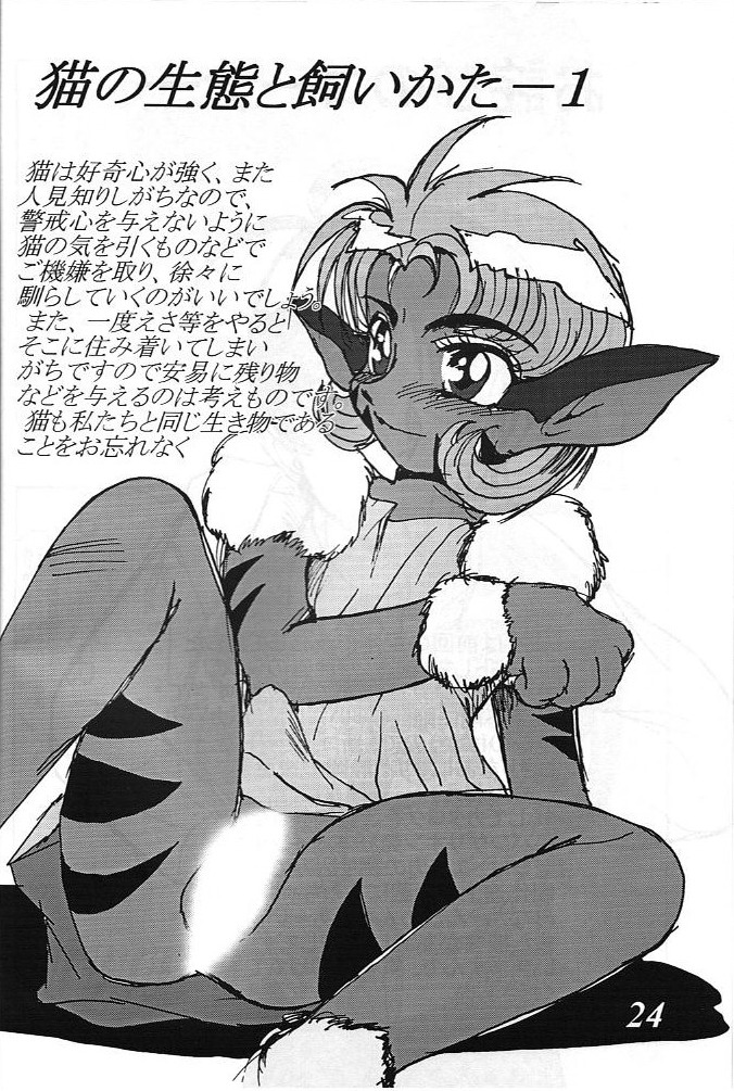 [G-TWO UNIT Reika-dou (Baron Mori)] MOVA FILE 3 - Hitomi! Diamond!! (The Vision of Escaflowne) page 23 full