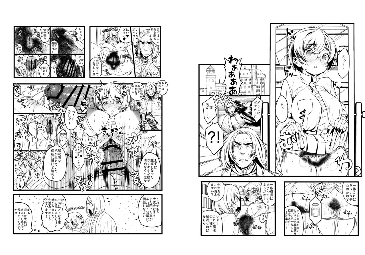(C93)[Ichikabachika (Ojigi)] 愛の妙薬準備号・改訂版 (Harry Potter) [Digital] page 12 full