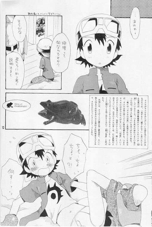 (LOVEx2 Monket!) [KuruGuru DNA (Hoshiai Hilo)] Tennen Douhou Kyuuden Enkinhou No Sho (Digimon Frontier) page 11 full