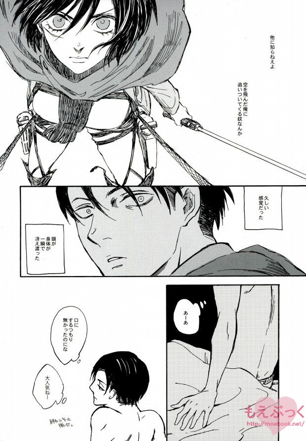 (SUPERKansai19) [QuintalLagosta (ebgr)] Kuro no Ookami Gin no Ookami (Shingeki no Kyojin) page 19 full