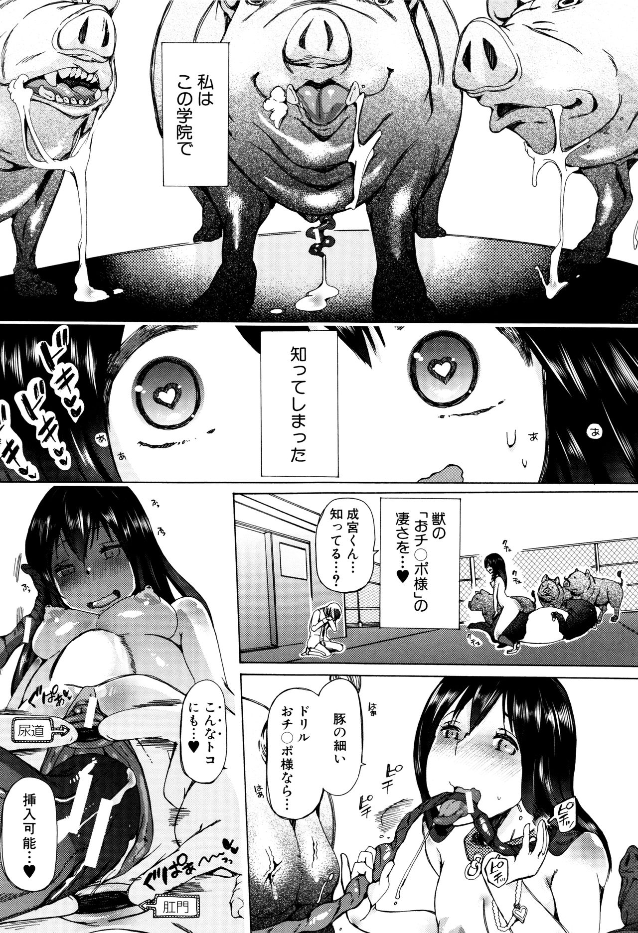 [Chikiko] Juukan Kyoushitsu - Bestiality Class page 42 full