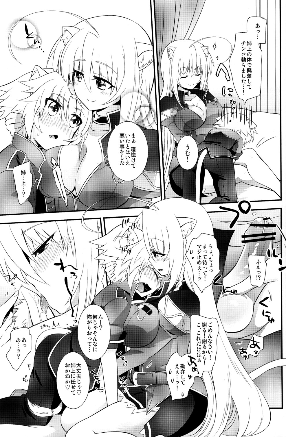 [Fuwawa (Oki no Matsushiro)] Aneue no Iu Toori (Dog Days) page 11 full