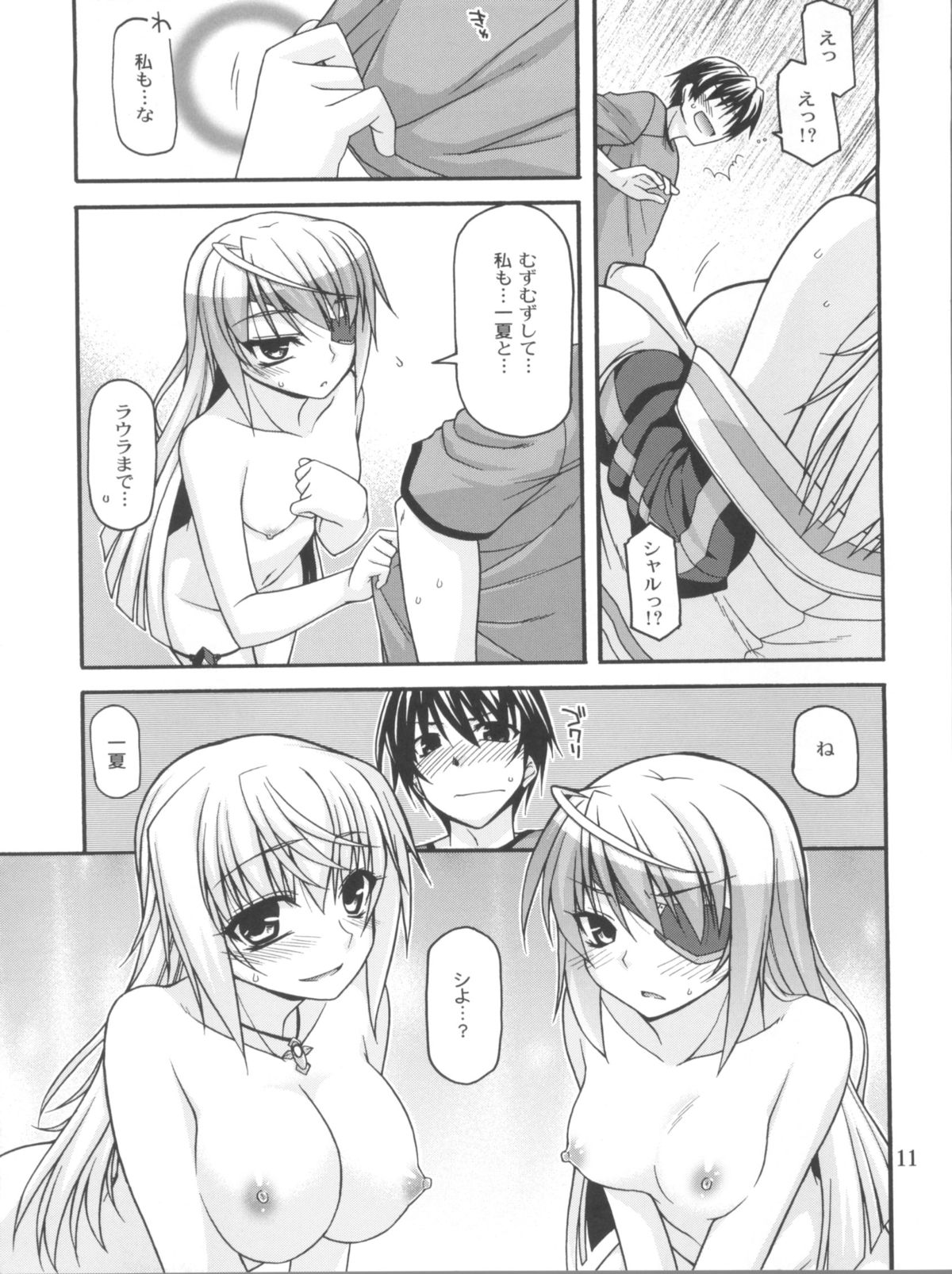 (COMIC1☆5) [CRIMSON GROUND (Miyashiro Sousuke)] Schwarzer Rafale (Infinite Stratos) page 10 full