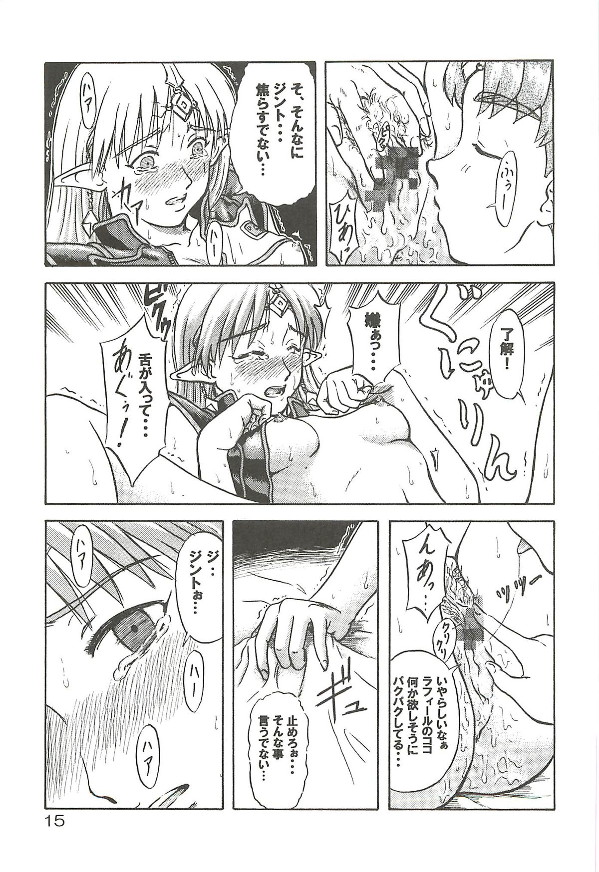 (C63) [Oretachi Misnon Ikka (Misnon the Great, Misnon Blue)] Tsuihou Kakugo Special edition Phase1 (Seikai no Senki) page 14 full