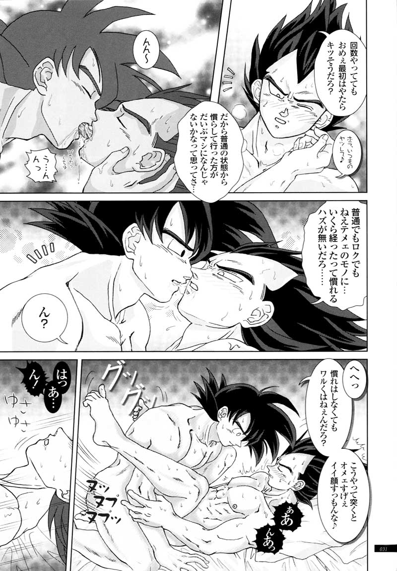 [GREFREE (ema)] Sairokua (Blaze, Voice, +A) (DRAGON BALL Z) page 29 full