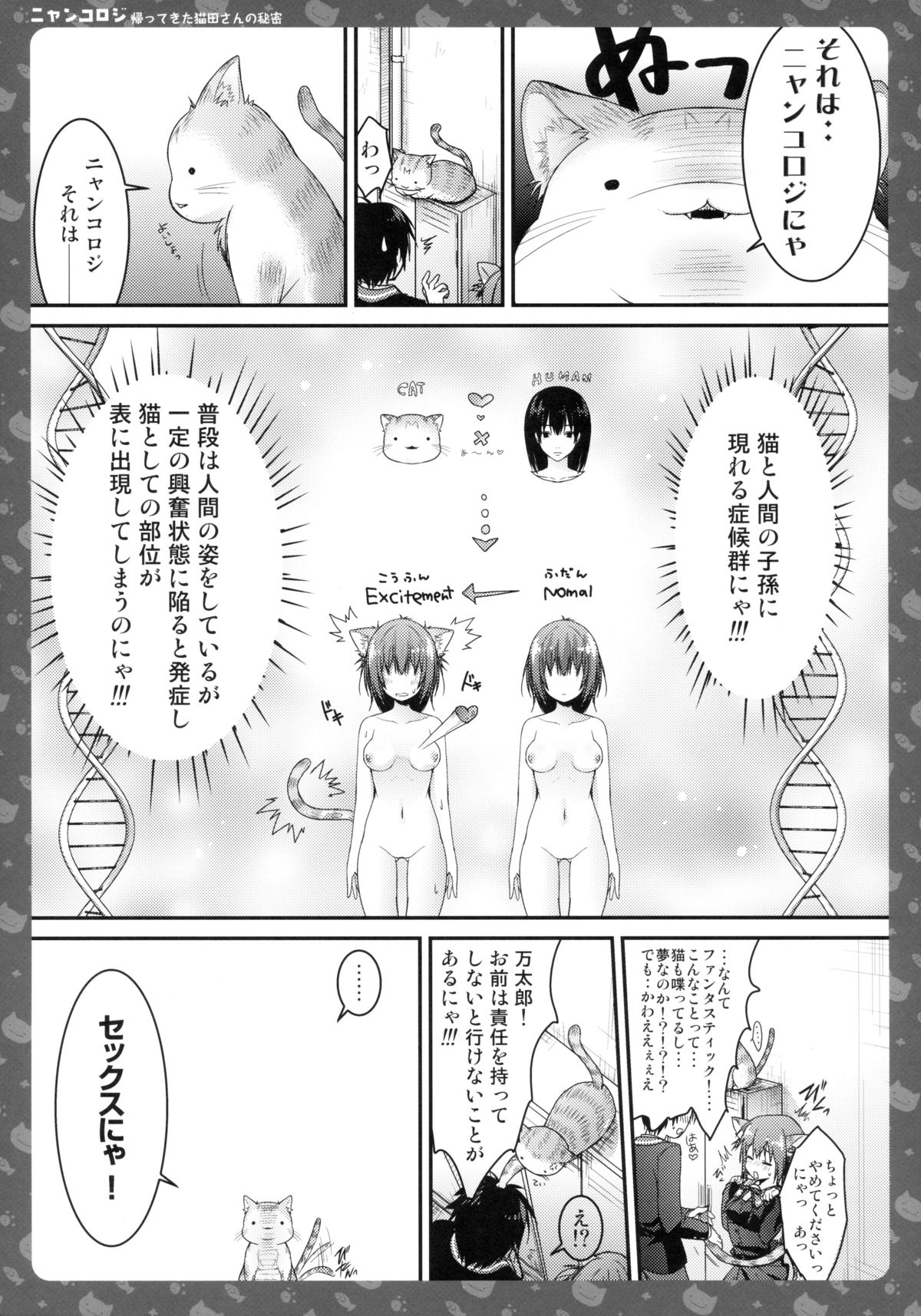 (Mimiket 28) [KINOKONOMI (konomi)] Nyancology -Kaettekita Nekota-san No himitsu- page 13 full