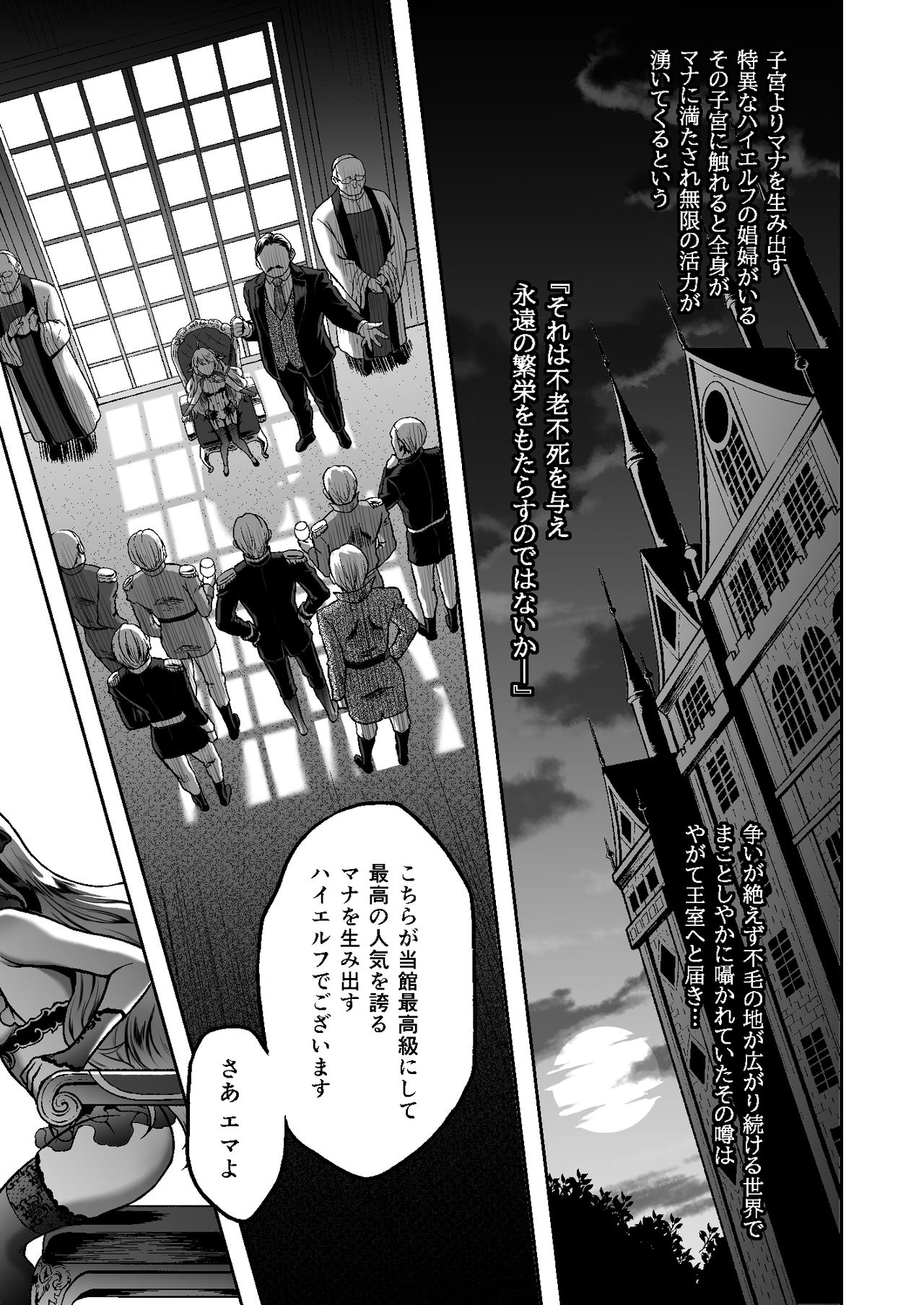 [H.B.A (Usagi Nagomu)] Tasogare no Shou Elf 6 - The story of Emma's side [Digital] page 3 full