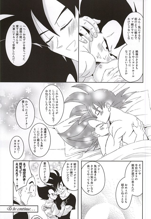 [Yutsuki (Ryuuk)] Dear2 (Dragon Ball Z) page 27 full