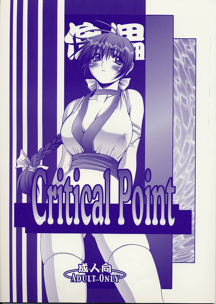 [Wolkenkratzer (Kanimiso)] Critical Point (Dead or Alive) page 1 full
