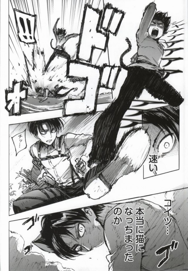 (C86) [Ongire (Tamy)] Neko ni Natta Buka ga Katte ni Hatsujou Shite Sugoku Komaru (Shingeki no Kyojin) page 11 full