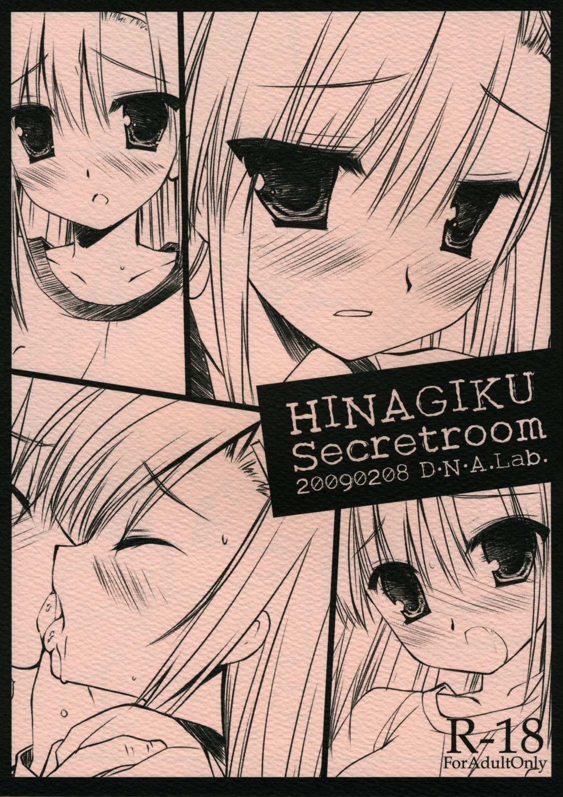 (SC42) [D.N.A.Lab. (Miyasu Risa)] HINAGIKU Secretroom (Hayate no Gotoku!) page 1 full