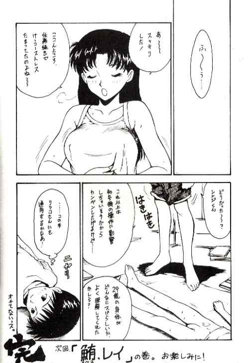 (CR18) [Karmaya (Karma Tatsurou)] Karma II (Neon Genesis Evangelion) page 21 full