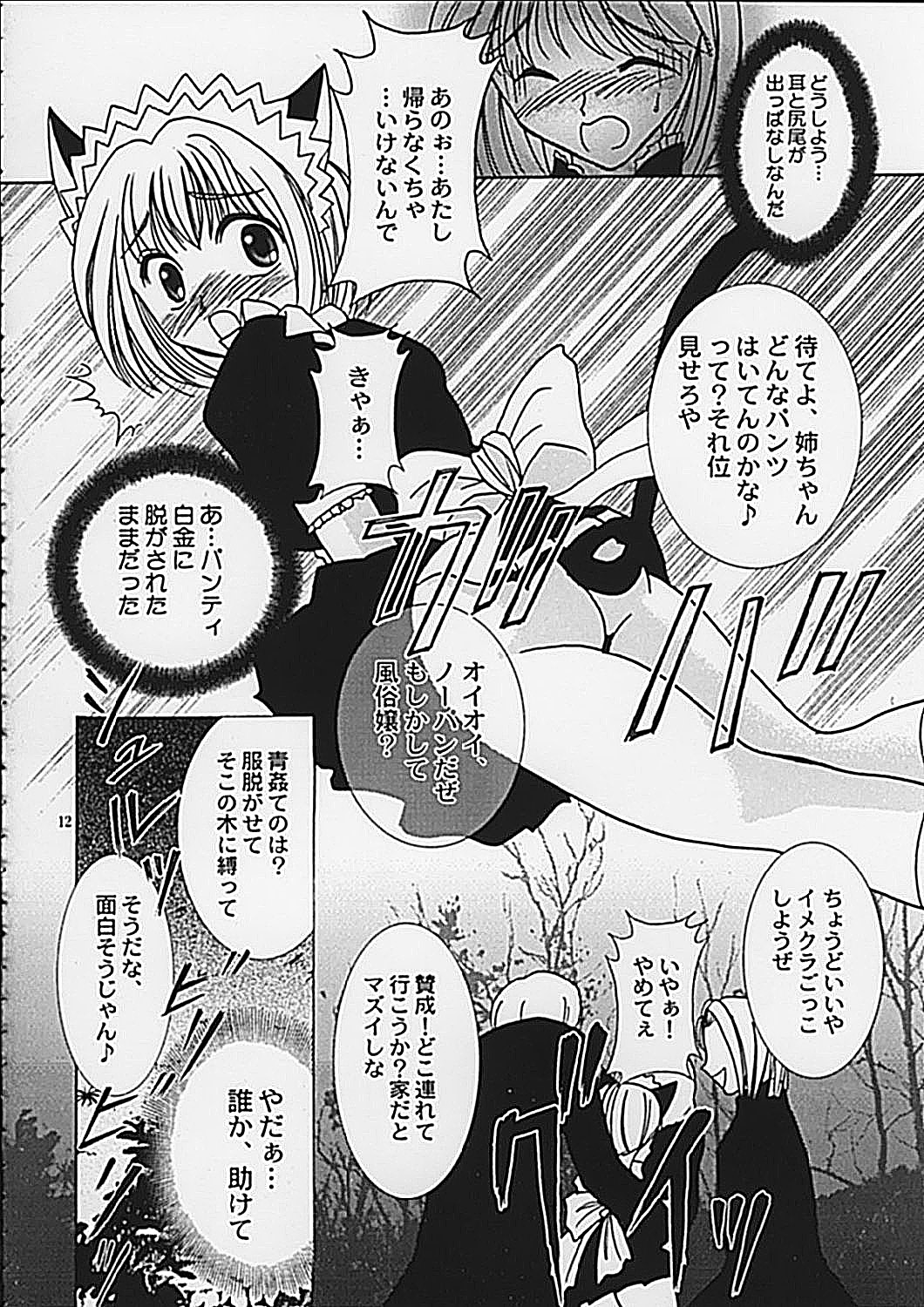 (C62) [Keiji in Cage (Azamino Keiji, Hinase Kazusa, Kageno Illyss)] Around The Secret page 12 full