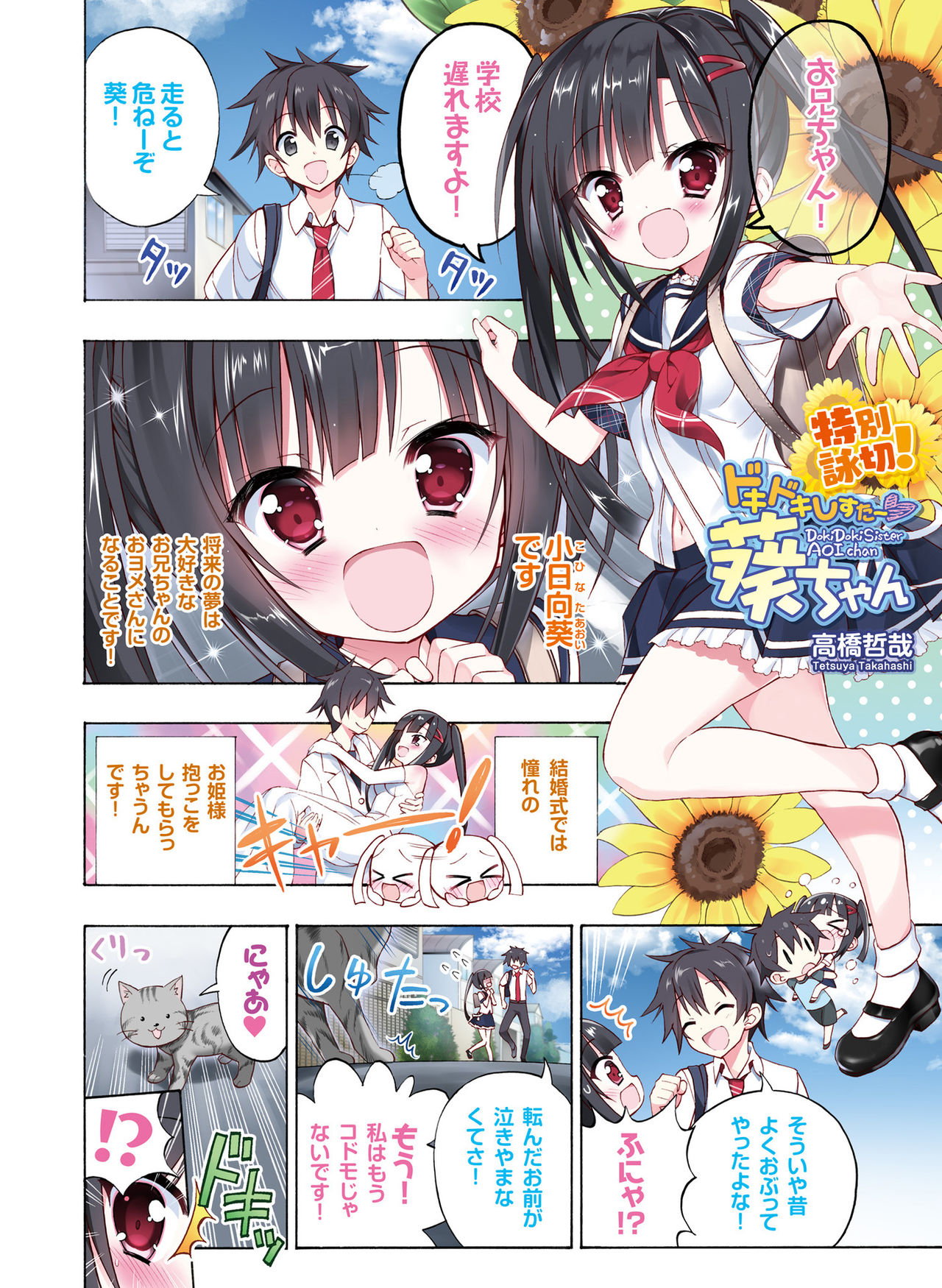 電撃おとなの抱き枕王 Vol.01 page 48 full