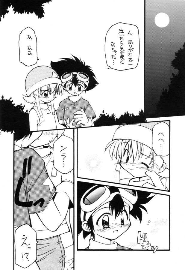 (C57) [Milky Way (Hoshikawa Kirara)] MILKYWAY (Digimon Adventure) page 7 full