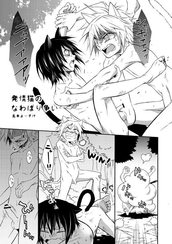 [Panda 4gou (Shima Kyousuke)] Nekomimi Kikou Manga [Digital] page 1 full