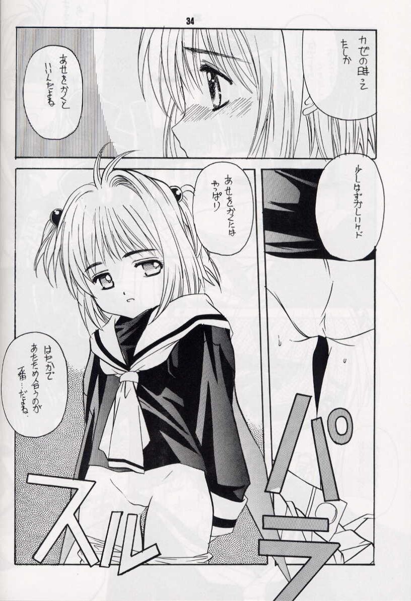 [Heaven's Dragon vs Jiyuugaoka Shoutengai (Hiraki Naori)] Z-R (Cardcaptor Sakura) page 33 full