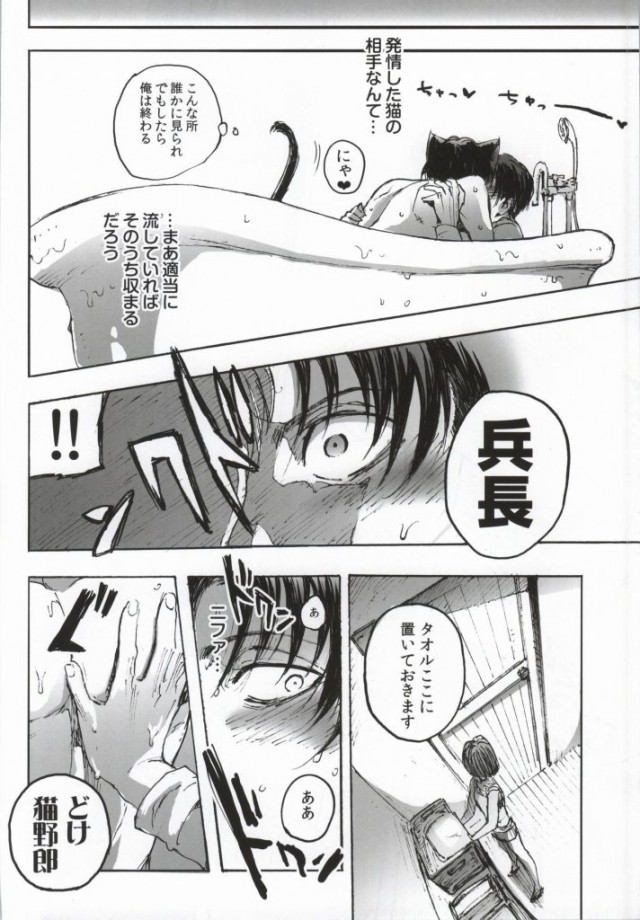 (C86) [Ongire (Tamy)] Neko ni Natta Buka ga Katte ni Hatsujou Shite Sugoku Komaru (Shingeki no Kyojin) page 21 full