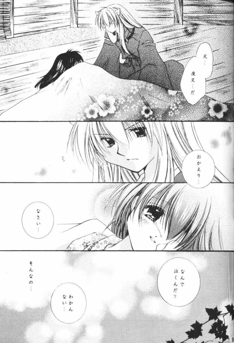 (CR33) [Sakurakan (Seriou Sakura)] Hoshikuzu Drop (Inuyasha) page 48 full