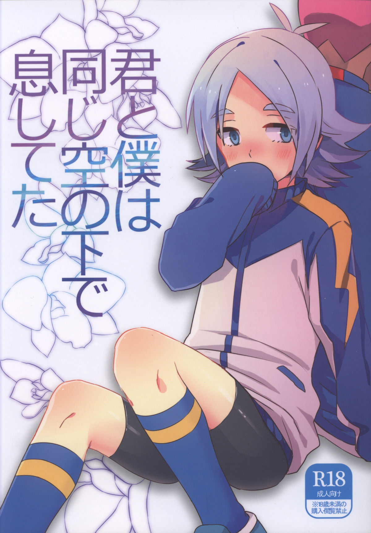 [Sora no Tabiji (Tori)] Kimi to Boku wa Onaji Sora no Shita de Ikishiteta (Inazuma Eleven) page 1 full