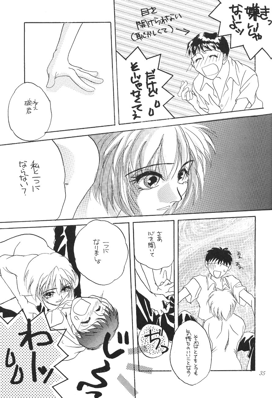 (CR19) [Digital Lover (Takanami Sachiko)] DESIR SEXUEL (Neon Genesis Evangelion) page 34 full
