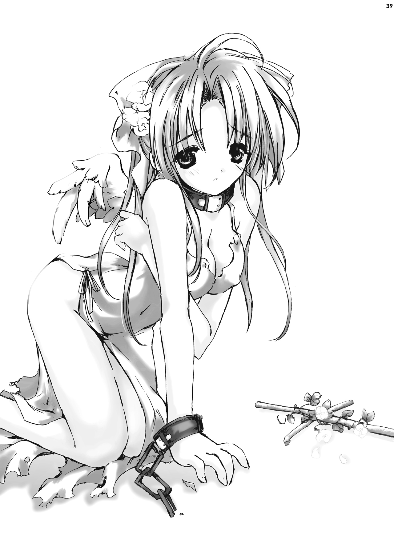 [Gensou Kuukan (Mizuhara Mei)] ANGELIQUE GARDEN [Digital] page 38 full