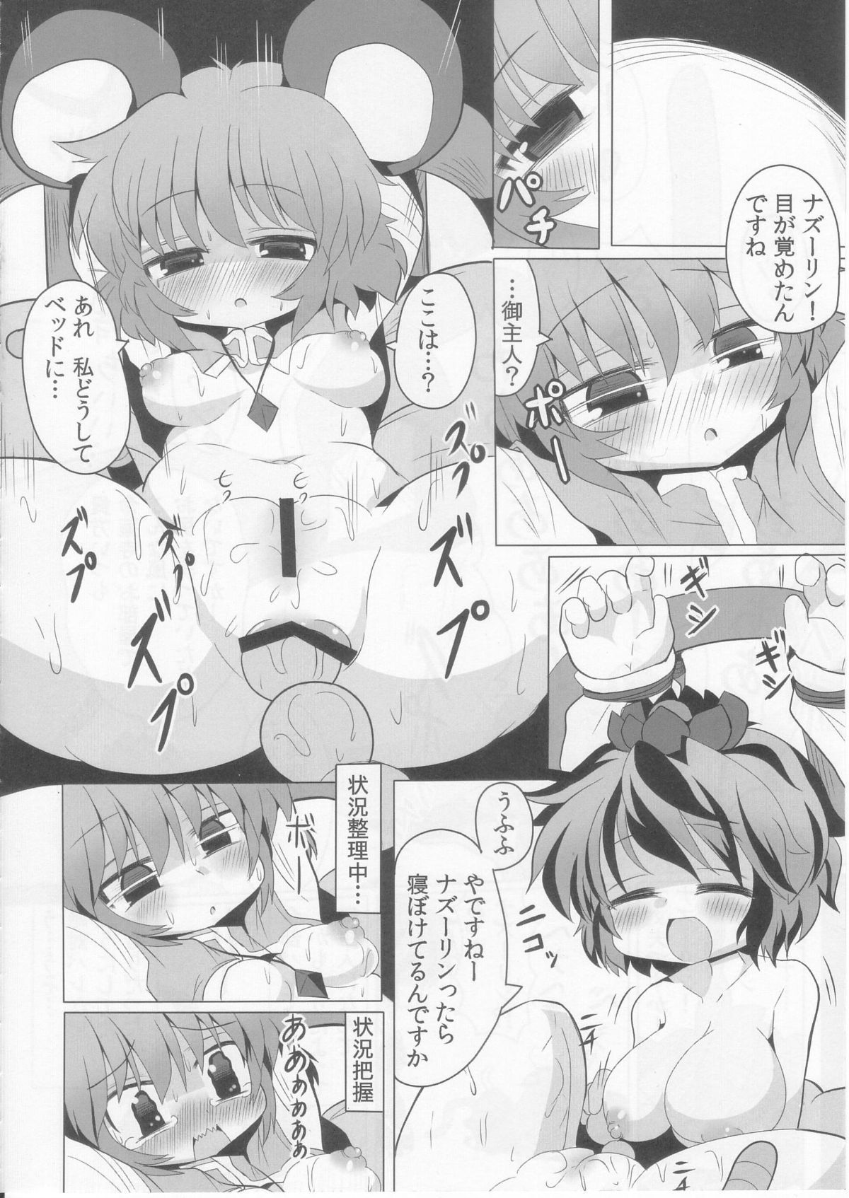 [Mada Nan'nimo Kimatte nai (53)] Tora Anal ni Irazunba Naz mo Yaru (Touhou Project) page 16 full