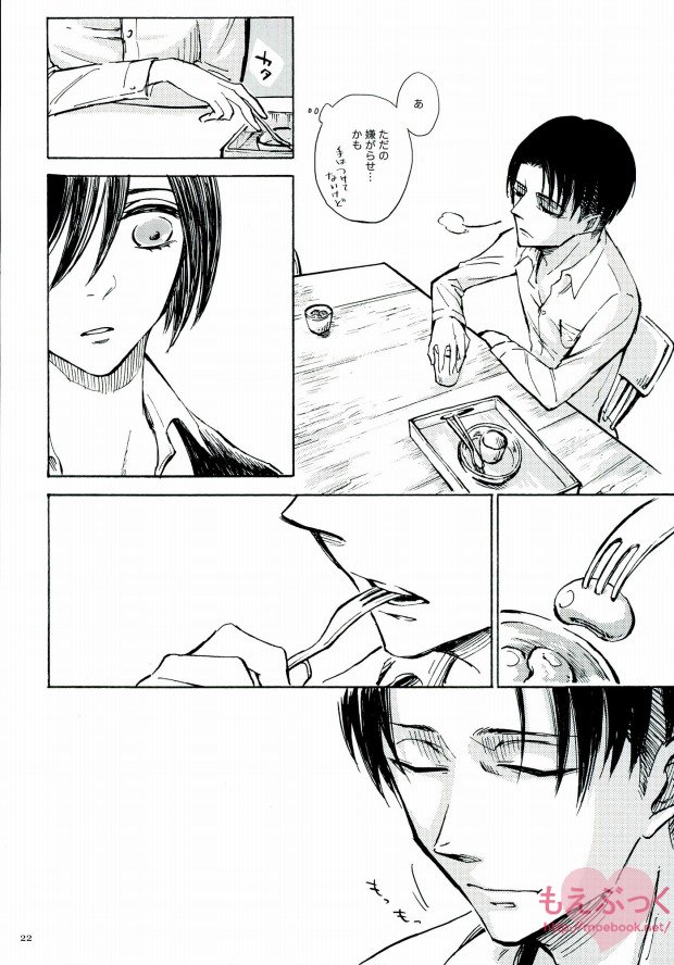 (Dai 3 Kai Hekigai Chousa Haku) [QuintalLagosta (ebgr)] Naku Kamo Shirenai (Shingeki no Kyojin) page 20 full