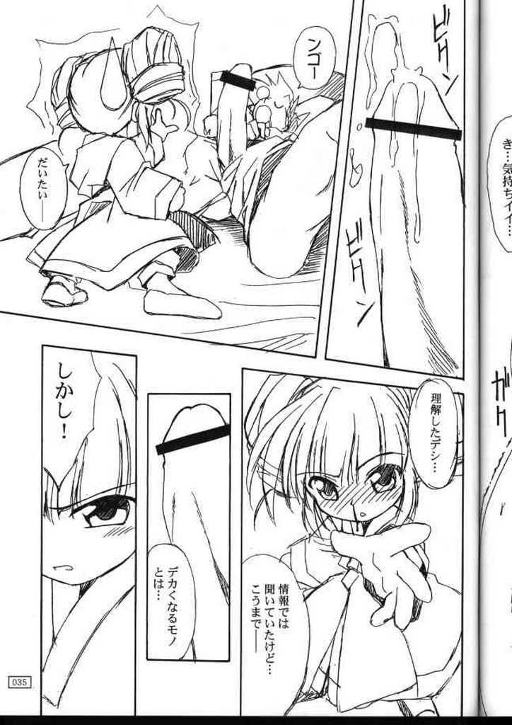 (C56) [AKKAN-Bi PROJECT (Yanagi Hirohiko)] Ufufu Ryu (Mamotte Shugogetten!) page 33 full