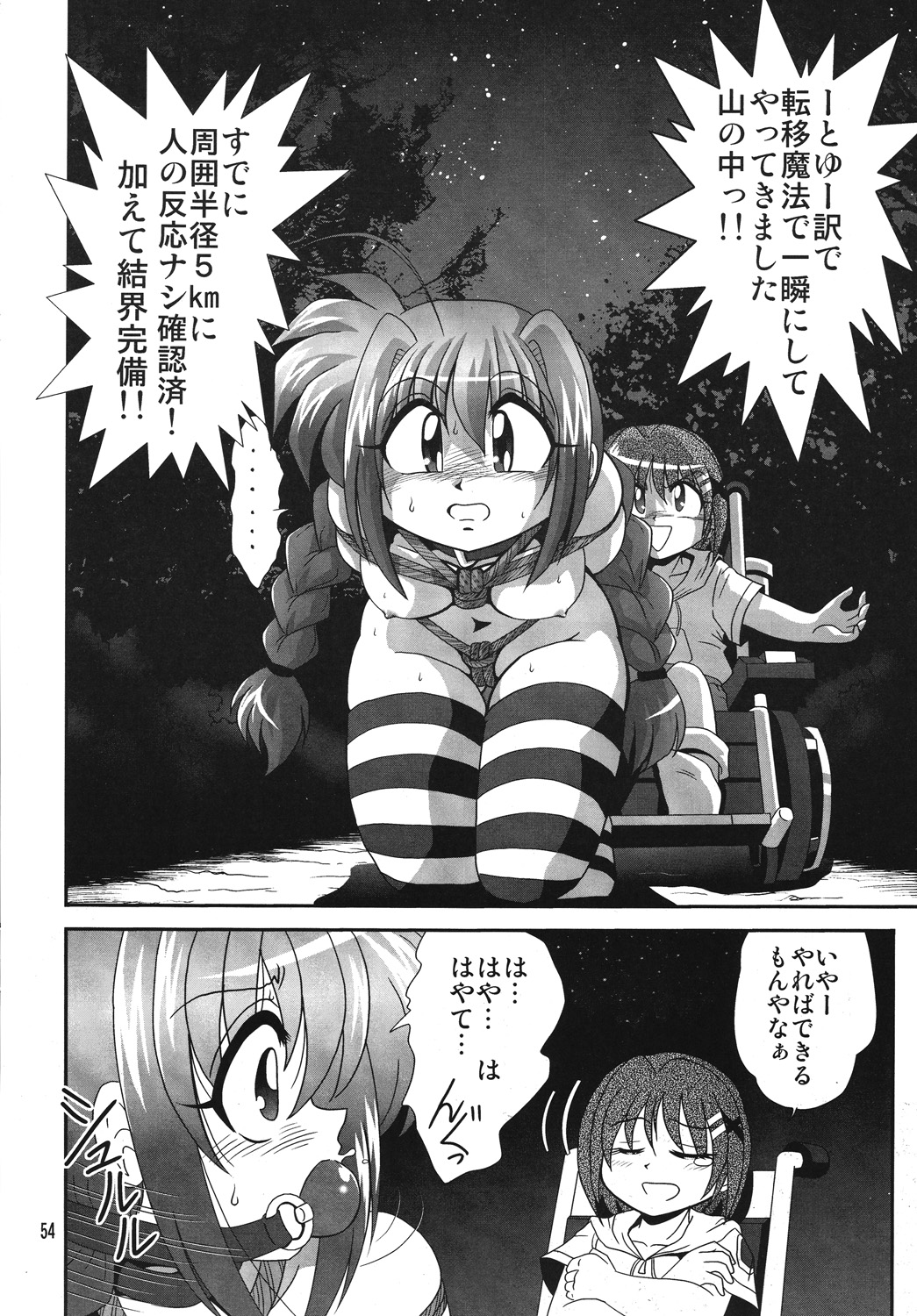 [Thirty Saver Street 2D Shooting] Storage Ignition 4 (Mahou Shoujo Lyrical Nanoha / Magical Girl Lyrical Nanoha) page 53 full