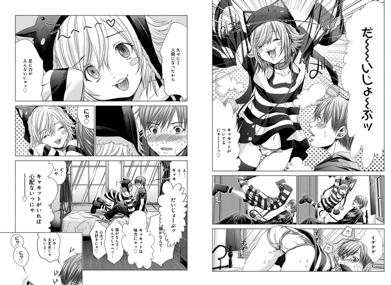 [Miyazaki Maya] Holy Knight ~Junketsu to Ai no Hazama de~ Vol. 4 page 10 full