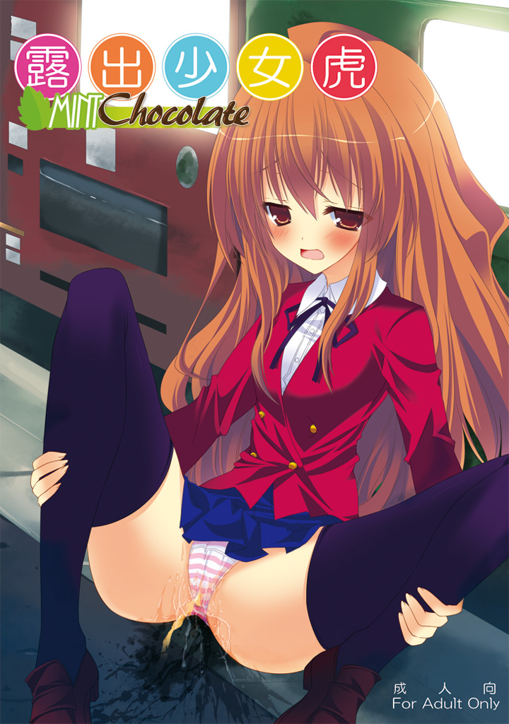 [Mint Chocolate (Himuro Kouichi, Raw)] Roshutsu Shoujo Tora (Toradora!) [Chinese] [匿名无名汉化] [Digital] page 2 full