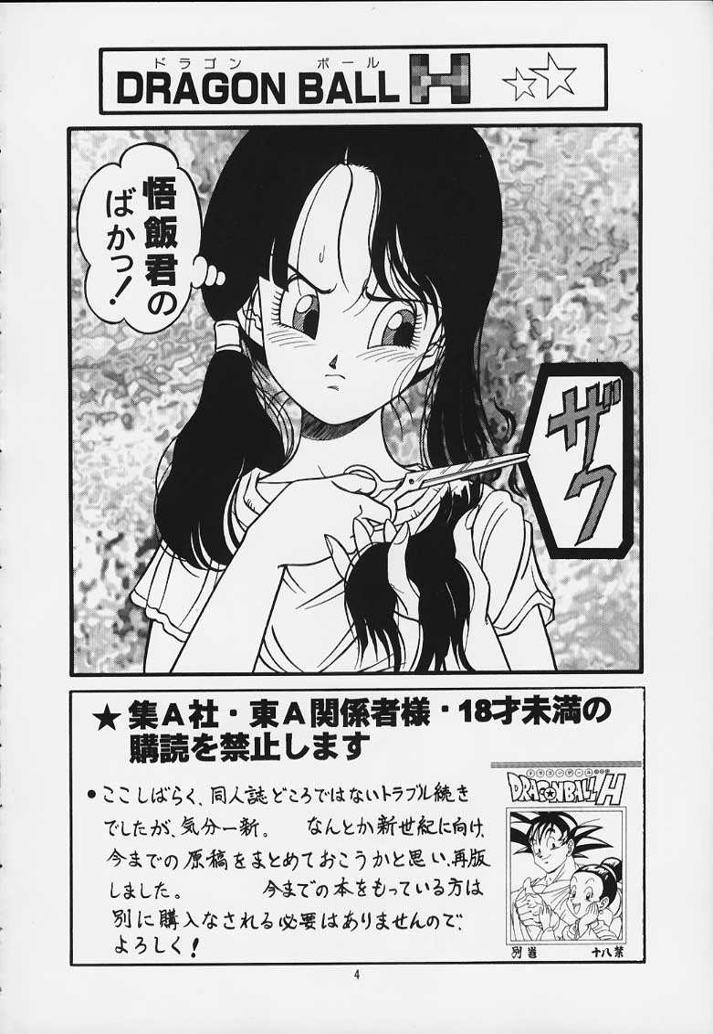 [Rehabilitation (Garland)] DRAGONBALL H Maki Ichi Ni Saihan (Dragon Ball Z) page 3 full