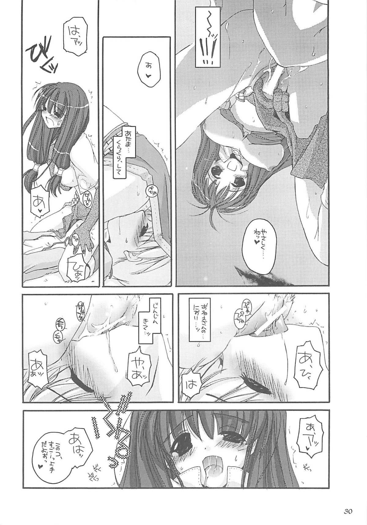(C62) [Digital Lover (Nakajima Yuka)] D.L. action 13 (Ragnarok Online) page 29 full
