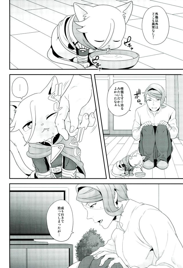 (C91) [Sayonara Hornet (Yoshiragi)] Gendai Parody ni Okeru Neko no McGillis to Gaelio no Kanousei ni Tsuite (Mobile Suit Gundam Tekketsu no Orphans) page 3 full