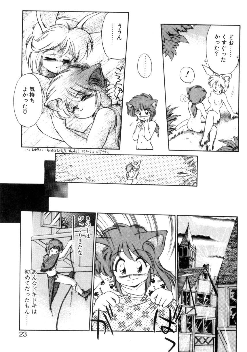 [Ebi Fly] Mainichi ga Wonderland page 20 full