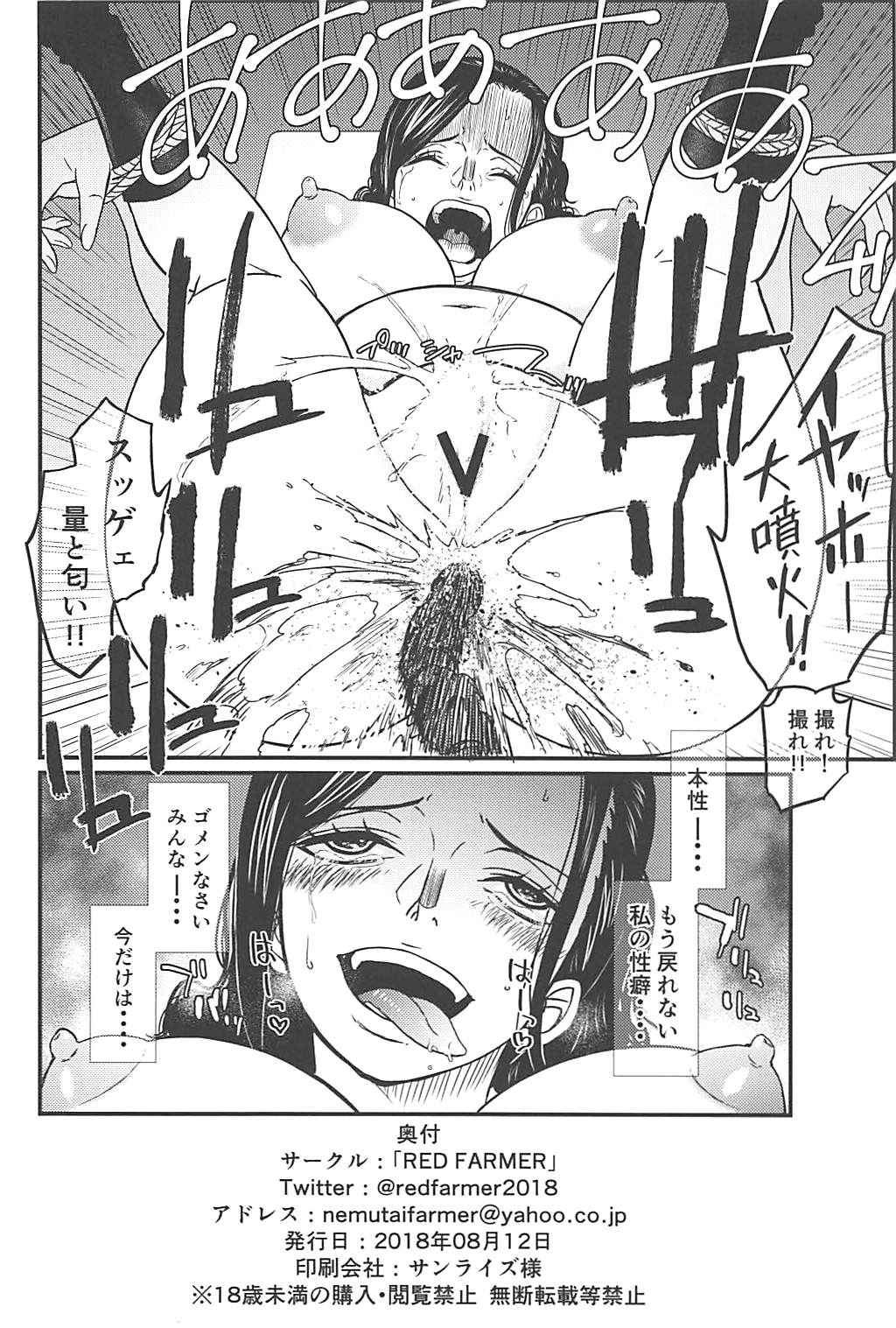 (C94) [RED FARMER (Aka Shirt Seisansha)] ROBIN'S HOLE (One Piece) page 25 full