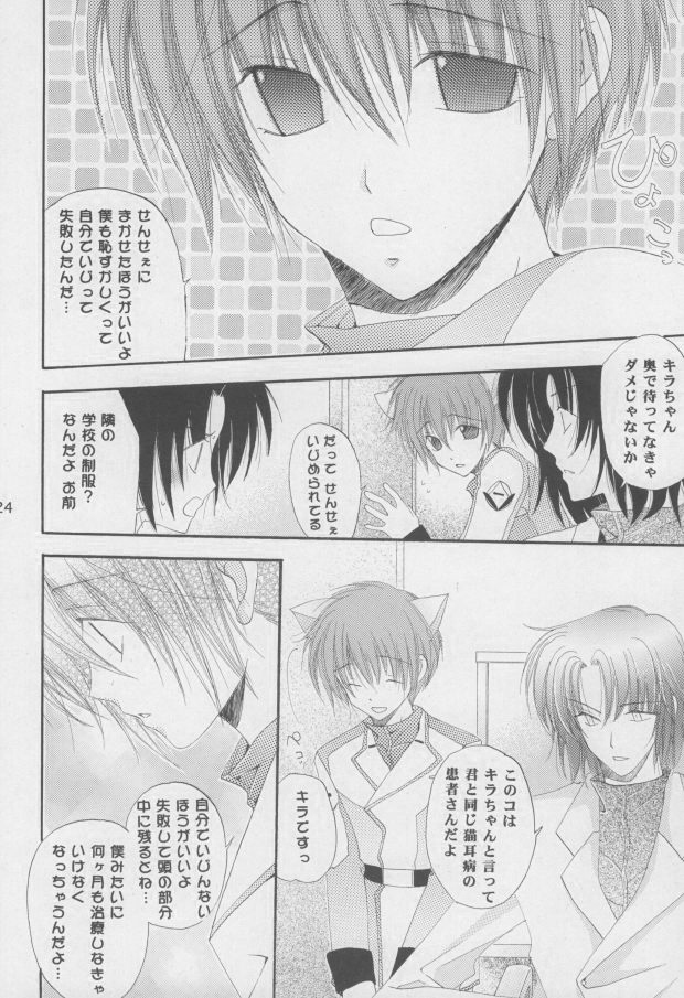 (C68) [Mutsuharu (Kagami Haruki)] Nekomimi Zouryouchuu (Gundam SEED DESTINY) [Incomplete] page 21 full