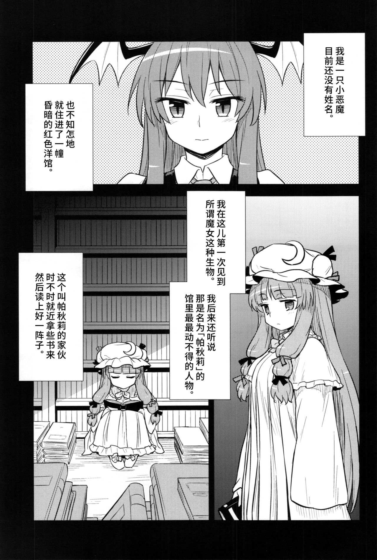 (C88) [110-GROOVE (Itou Yuuji)] Koakuma no Patchouli Kansatsuki (Touhou Project) [Chinese] [彷徨水面个人汉化] page 3 full