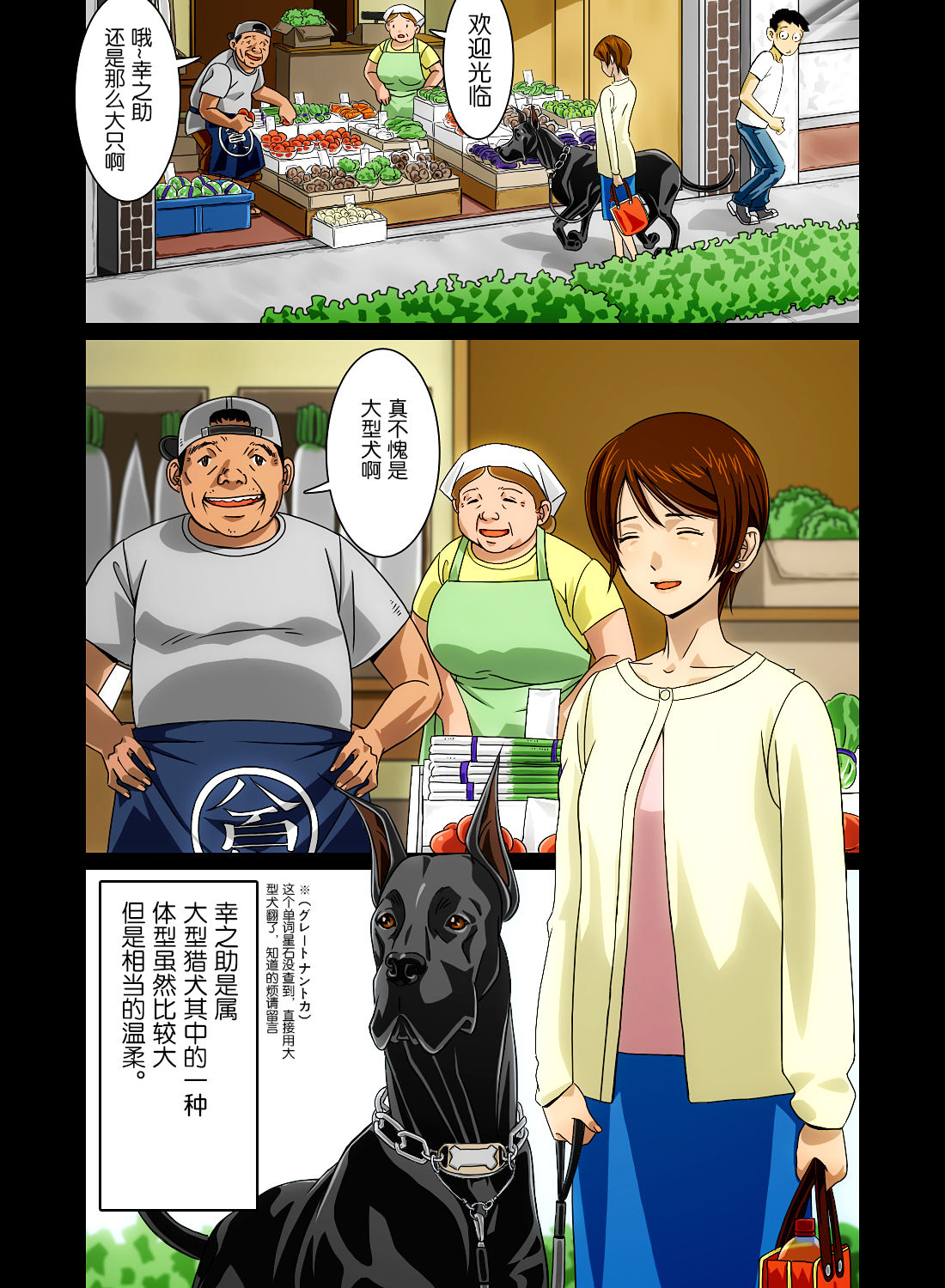 [Bonjin-do] “Wonderful Life” ~Shufu to “Aiken” no Hisoyaka na Gogo~[chinese] [翠星石汉化] page 12 full