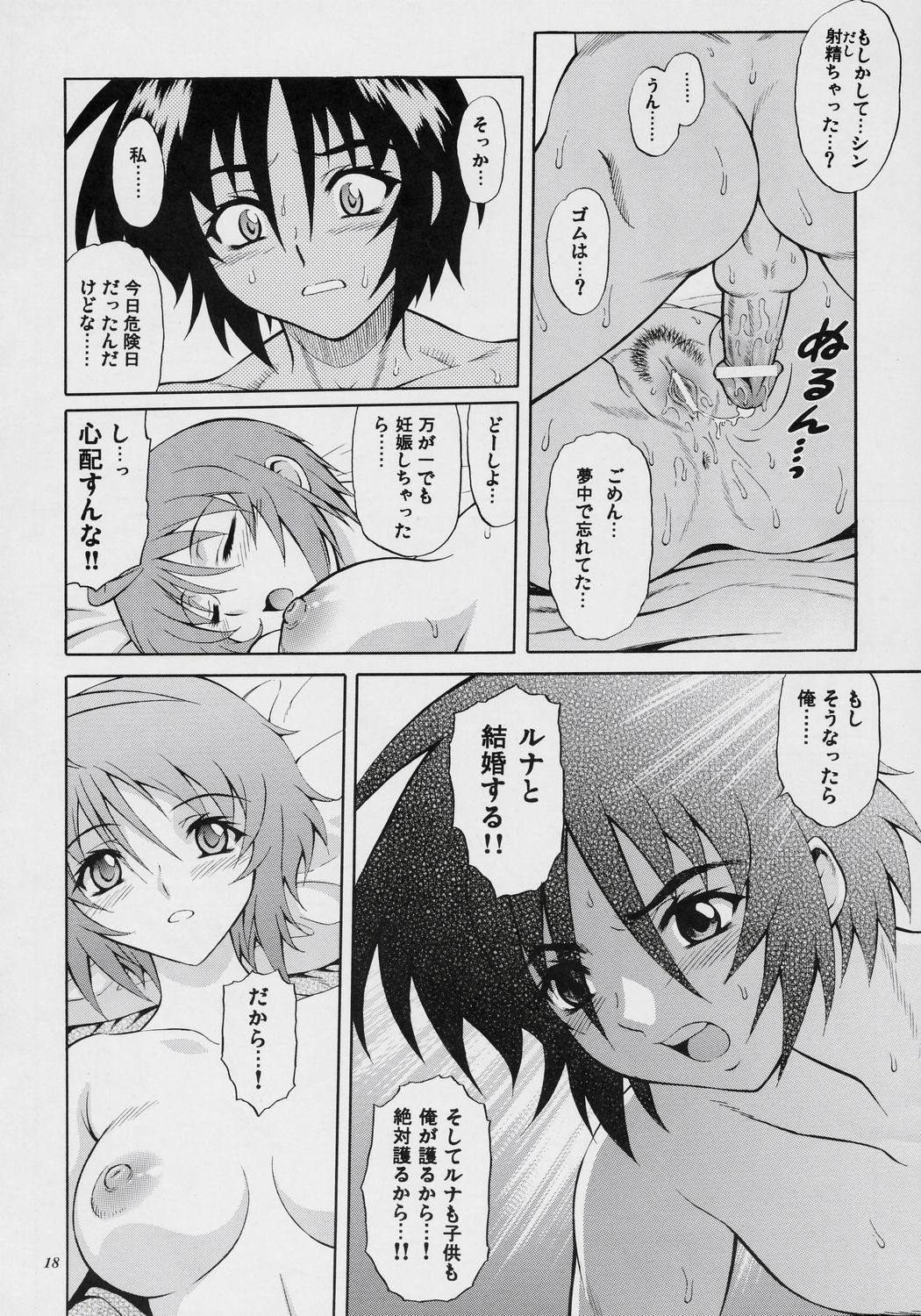 (SC34) [GUST (Harukaze Soyogu)] Burning!! 4 (Mobile Suit Gundam SEED DESTINY) page 17 full