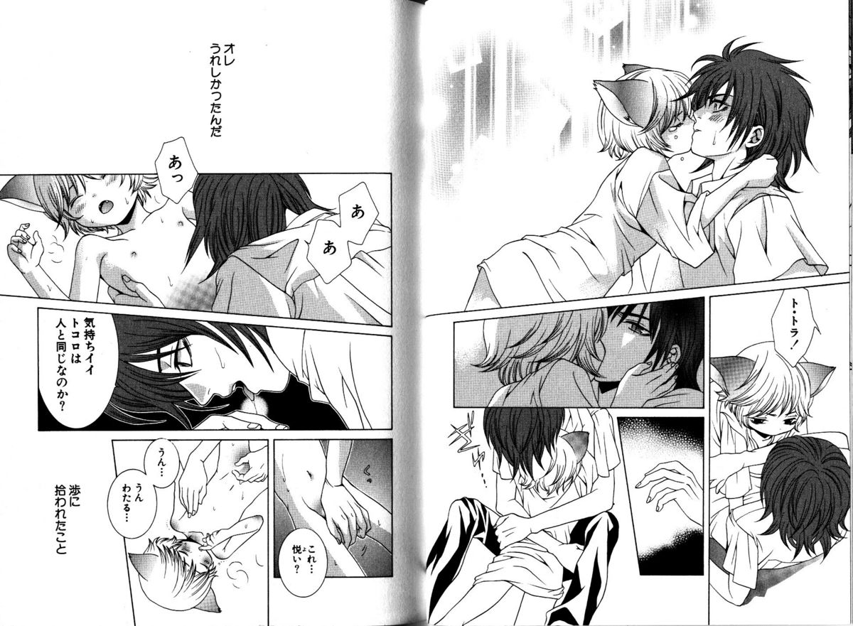 Akana Meiko - Nekokan page 15 full
