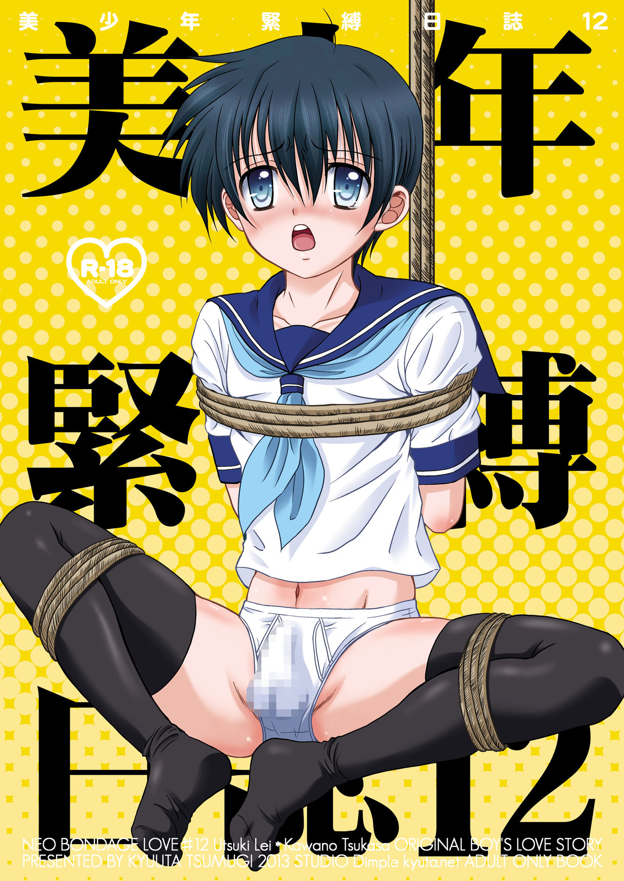 [Studio Dimple (Tsumugi Kyuuta)] Bishounen Kinbaku Nisshi 12 [Digital] page 1 full