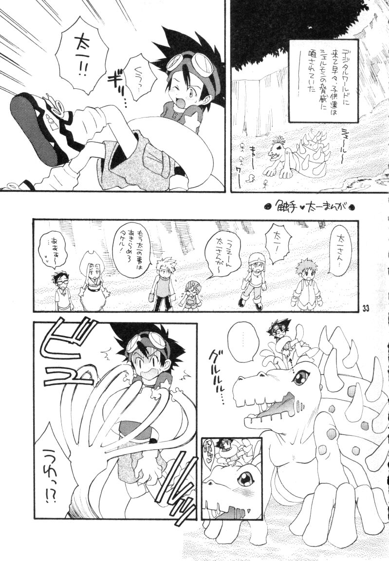 (CCTokyo96) [Haniwa Mania, Kuruguru DNA (Pon Takahanada, Hoshiai Hiro)] Bokura No Jogress World (Digimon Adventure 02) page 33 full