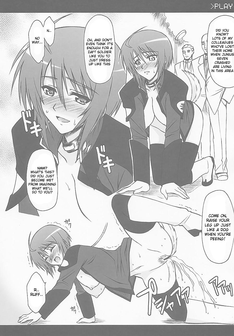 (C67) [Type-G (Ishigaki Takashi)] LUNA:C (Gundam SEED Destiny) [English] page 14 full